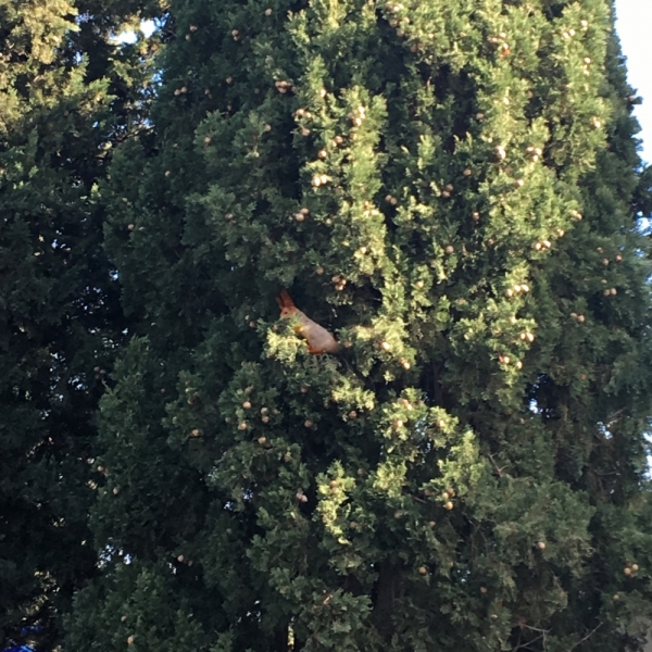 Ялта_Февраль 2017