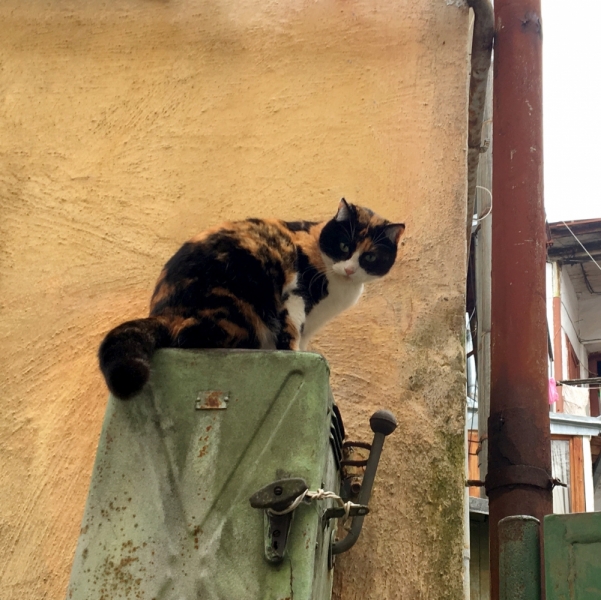 Ялта_Февраль 2017