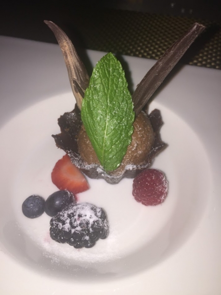 Новогодние Карибы 2017, или, два кольца, три бойца, а посередине - HAL Nieuw Amsterdam