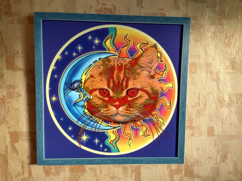 Поговорим о кошках 42