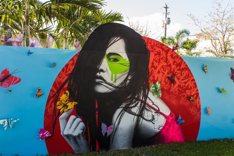 Новогодние Карибы 2017, или, два кольца, три бойца, а посередине - HAL Nieuw Amsterdam