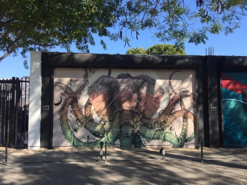 Новогодние Карибы 2017, или, два кольца, три бойца, а посередине - HAL Nieuw Amsterdam