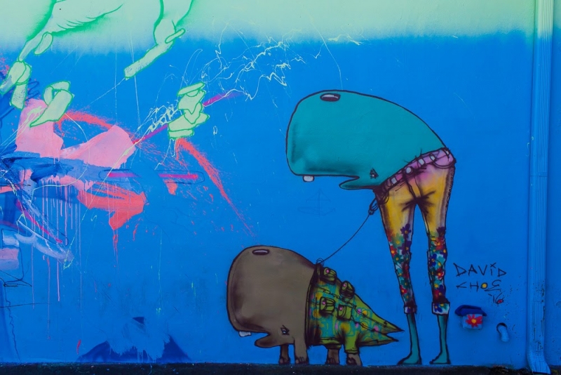 Новогодние Карибы 2017, или, два кольца, три бойца, а посередине - HAL Nieuw Amsterdam