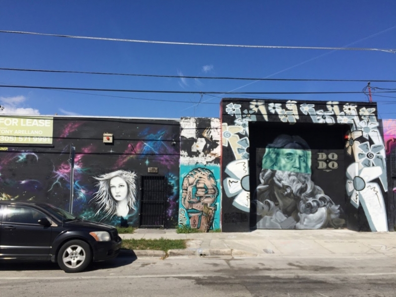 Новогодние Карибы 2017, или, два кольца, три бойца, а посередине - HAL Nieuw Amsterdam