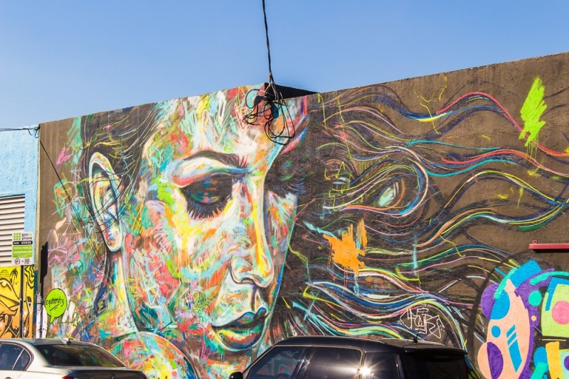 Новогодние Карибы 2017, или, два кольца, три бойца, а посередине - HAL Nieuw Amsterdam