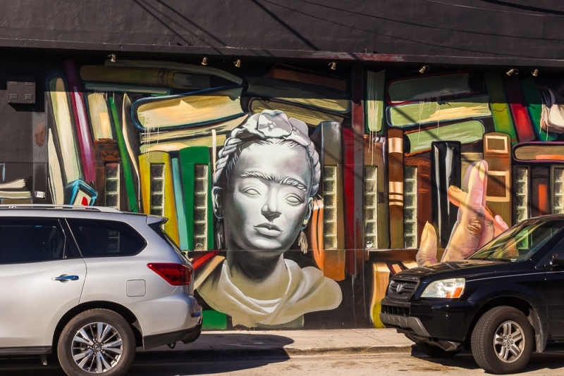 Новогодние Карибы 2017, или, два кольца, три бойца, а посередине - HAL Nieuw Amsterdam