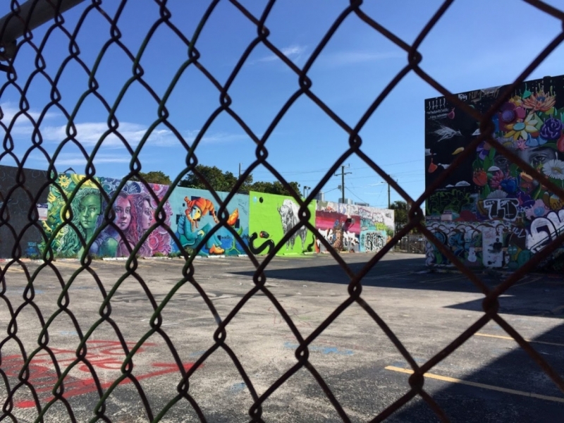 Новогодние Карибы 2017, или, два кольца, три бойца, а посередине - HAL Nieuw Amsterdam