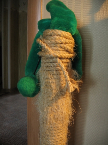 Поговорим о кошках 42