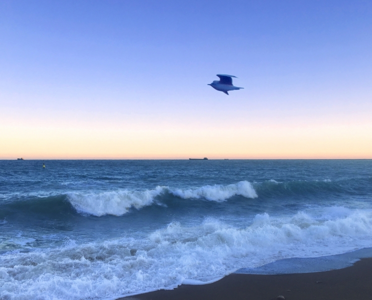 Ялта_Февраль 2017