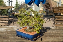 Путешествие "Швейцария-Италия" в июле 2011г.