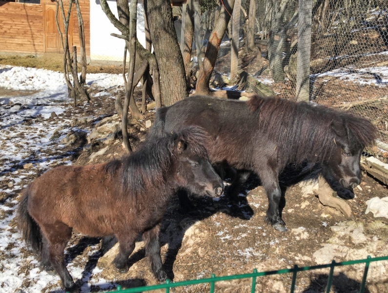 Ялта_Февраль 2017
