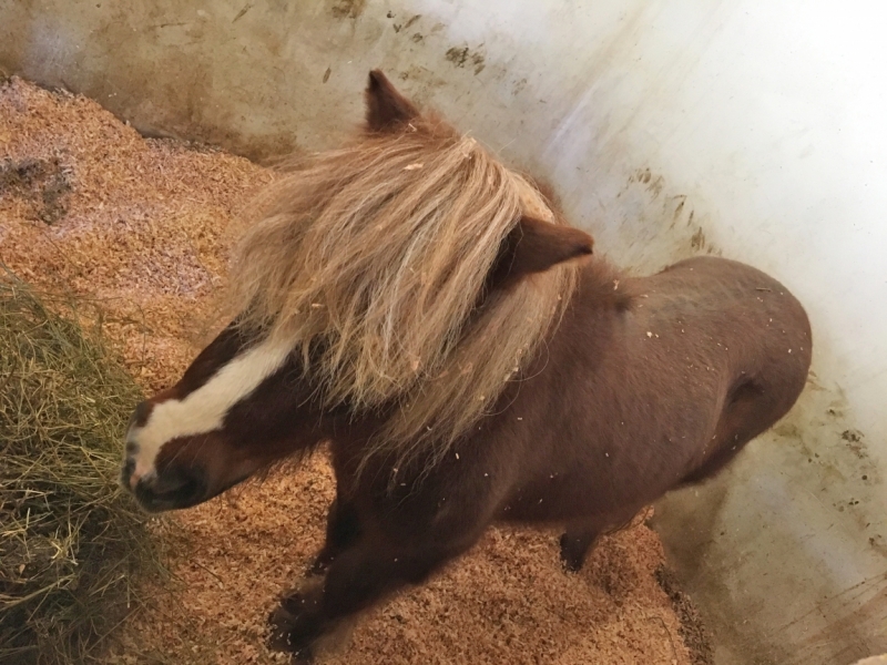 Ялта_Февраль 2017