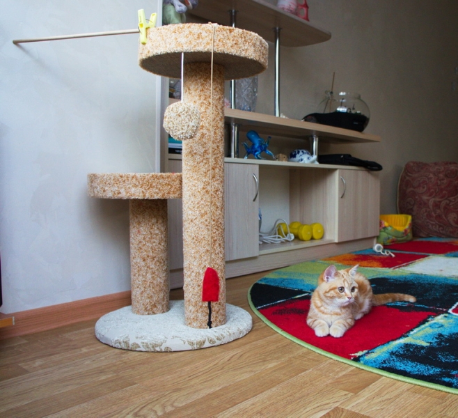 Поговорим о кошках 42