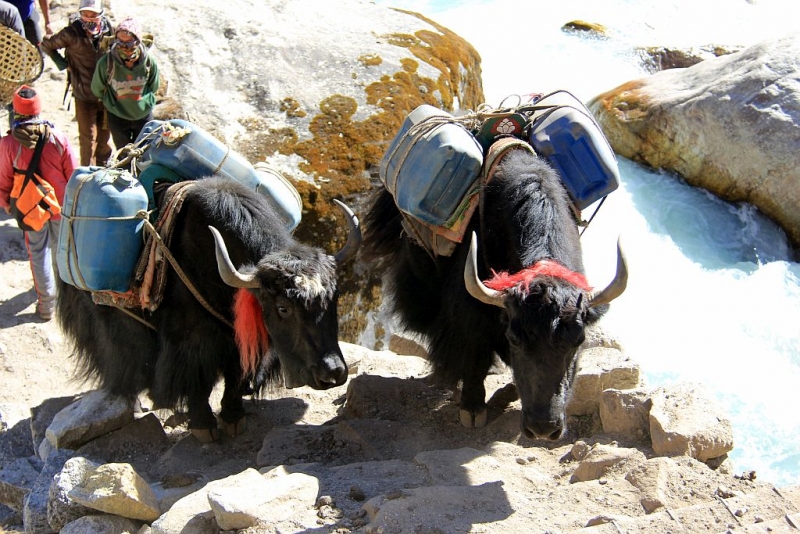 Чукунг-Тенгбоче