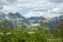 Путешествие "Швейцария-Италия" в июле 2011г.