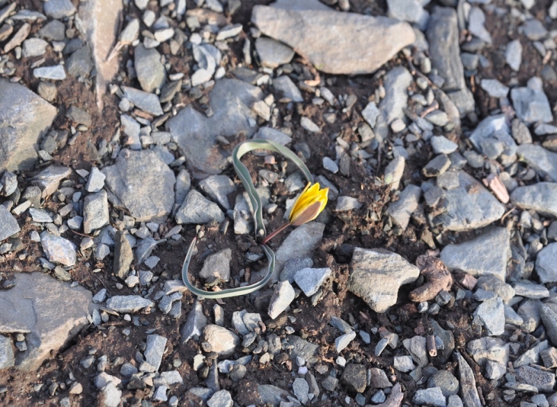 Горный Алтай