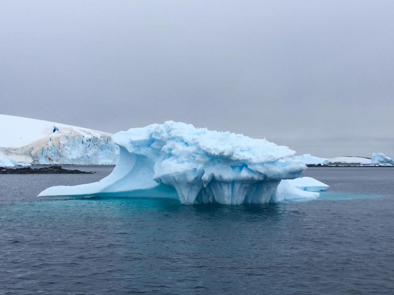 Антарктида на яхте - февраль 2017 (дневник путешествия)