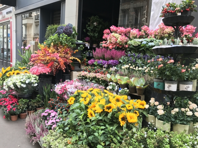 Франция. Париж и Нормандия. Октябрь 2016