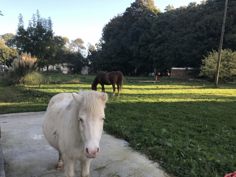 Франция. Париж и Нормандия. Октябрь 2016