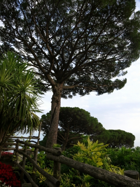 Кампания и Амальфитанское побережье: простые радости среди невероятной красоты.