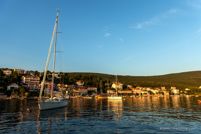 Сигизмунд, Белуга и Авось