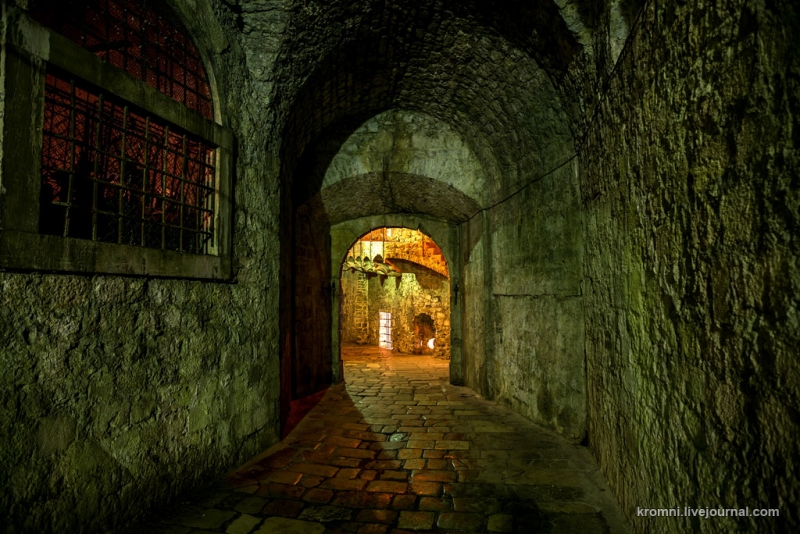 Сигизмунд, Белуга и Авось