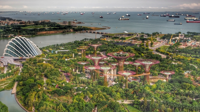 Отель в Сингапуре Marina Bay Sands отзывы