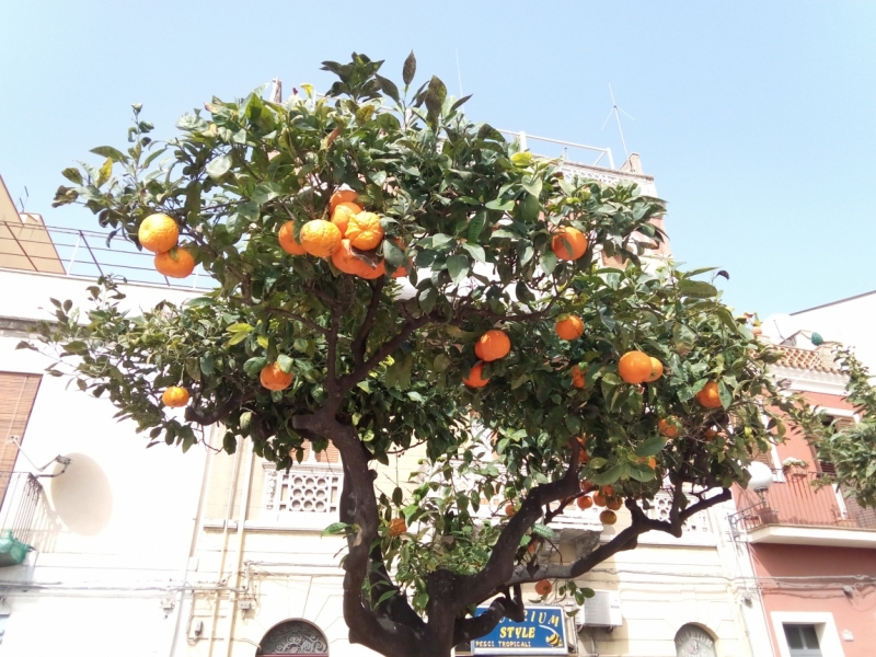 Куда поехать отдыхать в апреле в Европу (*тепло*)?