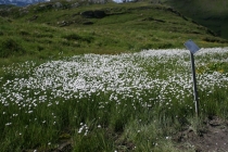 Путешествие "Швейцария-Италия" в июле 2011г.