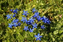 Путешествие "Швейцария-Италия" в июле 2011г.