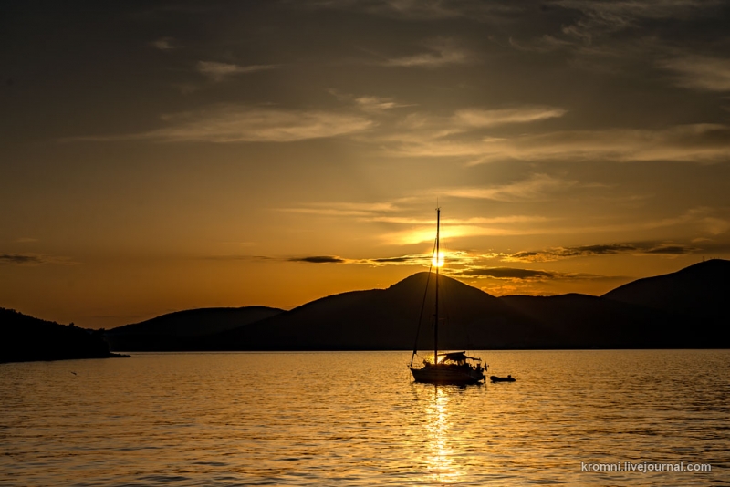 Сигизмунд, Белуга и Авось
