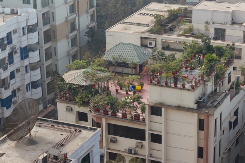 Три дня в Дакке, Бангладеш