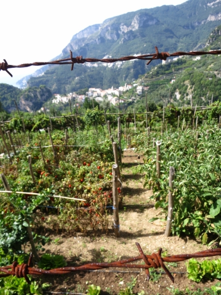 Кампания и Амальфитанское побережье: простые радости среди невероятной красоты.