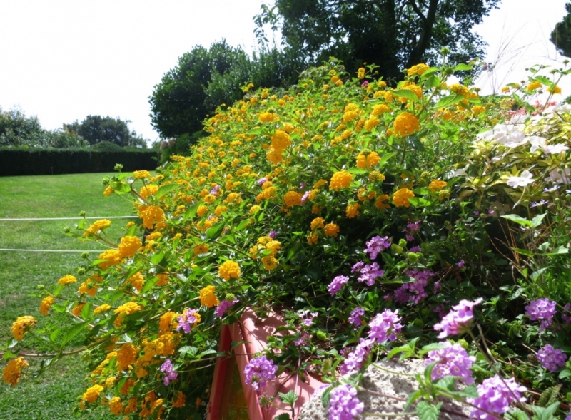 Кампания и Амальфитанское побережье: простые радости среди невероятной красоты.