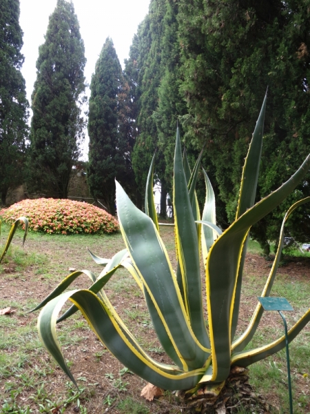 Кампания и Амальфитанское побережье: простые радости среди невероятной красоты.