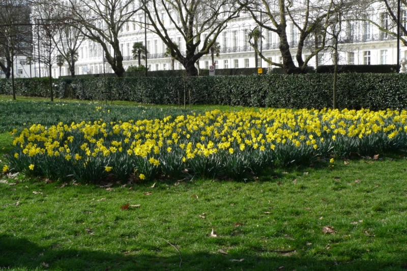 Любимые сады и парки Англии