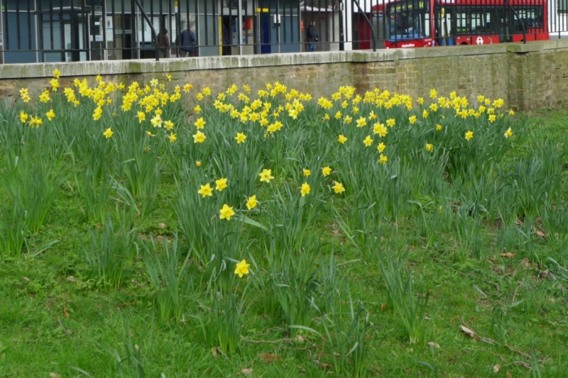 Любимые сады и парки Англии
