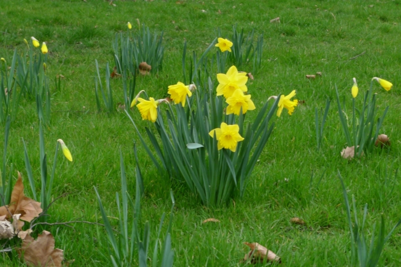 Любимые сады и парки Англии