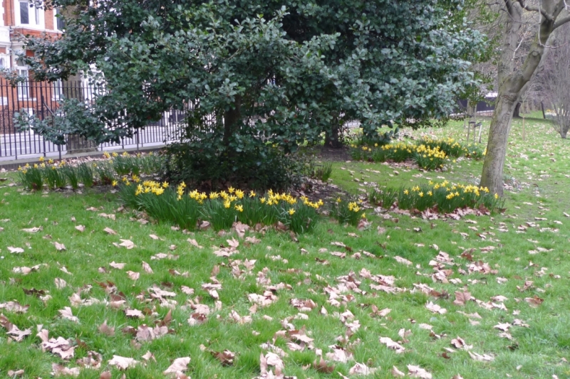 Любимые сады и парки Англии