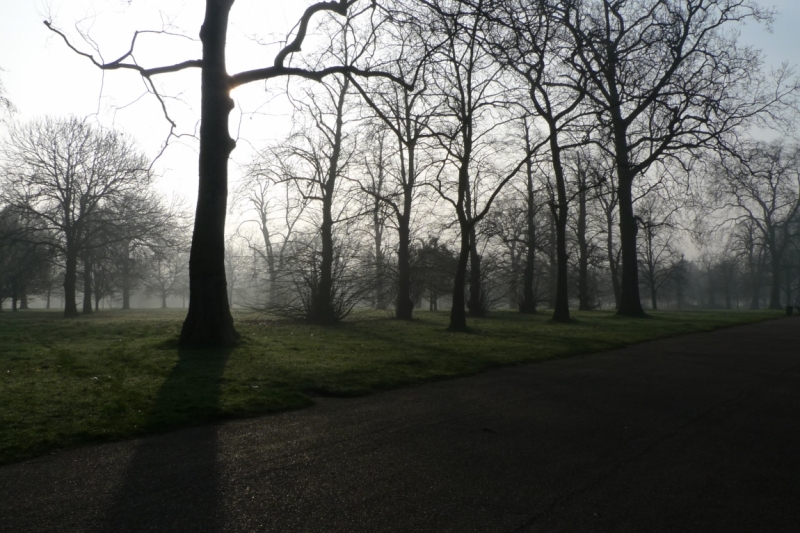 Любимые сады и парки Англии