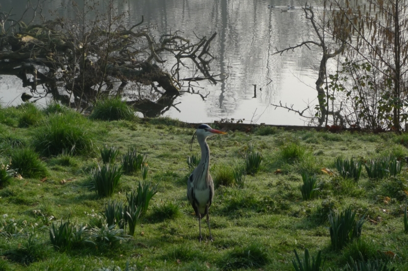 Любимые сады и парки Англии