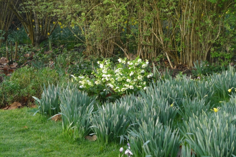 Любимые сады и парки Англии