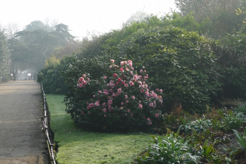 Любимые сады и парки Англии