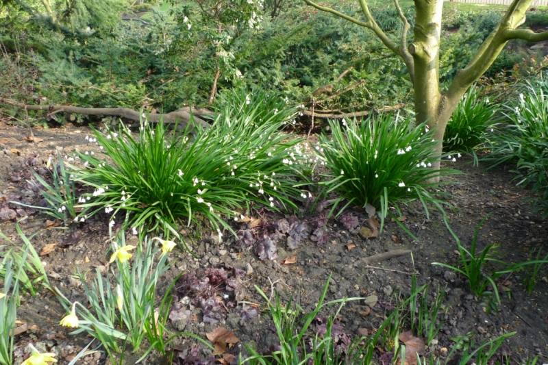 Любимые сады и парки Англии