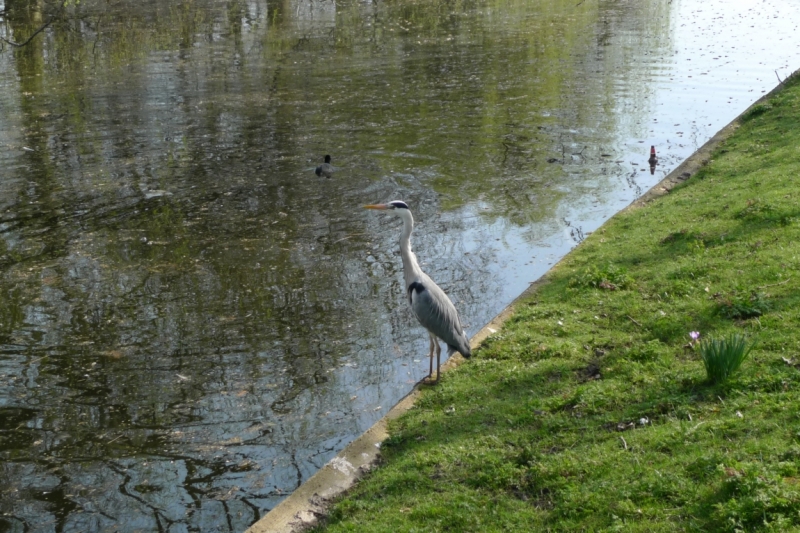 Любимые сады и парки Англии
