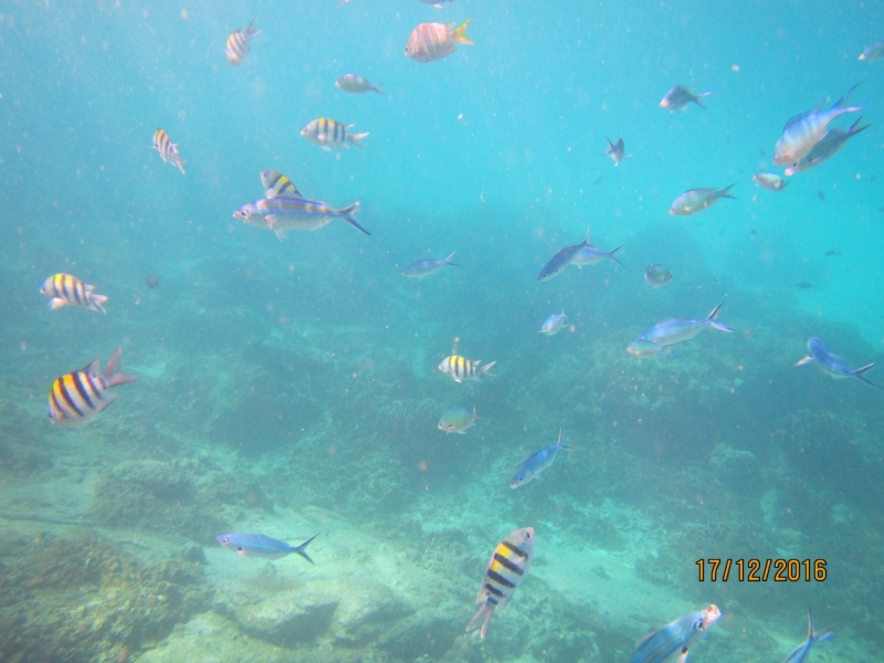 Второй заход. Наш теплый декабрь 2016 (Пхукет, Краби, Бангкок)