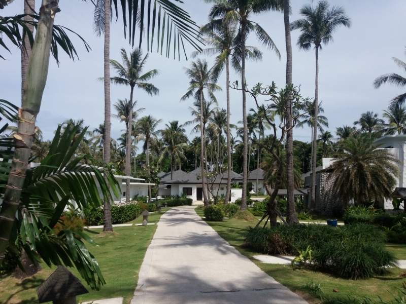 Второй заход. Наш теплый декабрь 2016 (Пхукет, Краби, Бангкок)