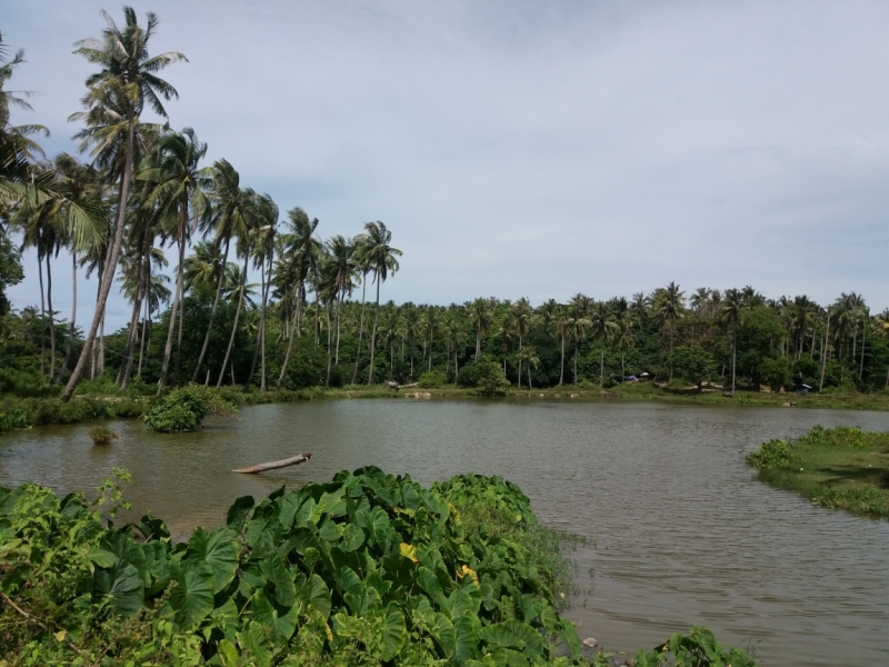 Второй заход. Наш теплый декабрь 2016 (Пхукет, Краби, Бангкок)