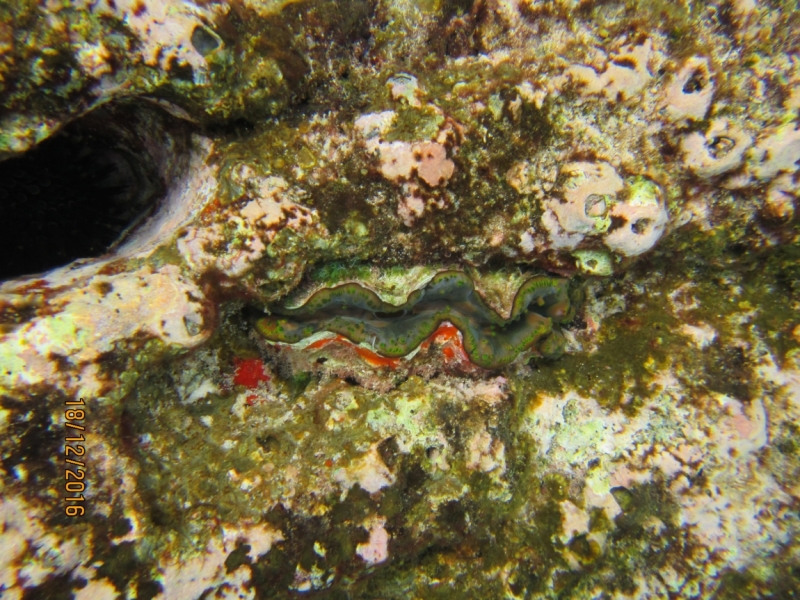 Второй заход. Наш теплый декабрь 2016 (Пхукет, Краби, Бангкок)