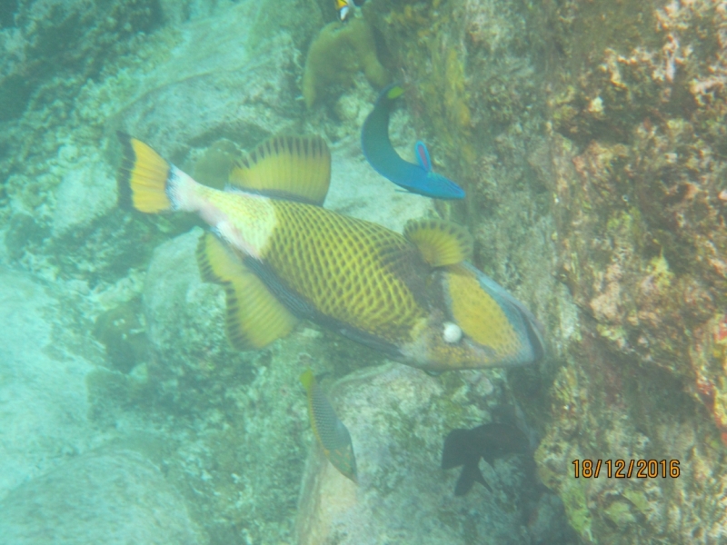 Второй заход. Наш теплый декабрь 2016 (Пхукет, Краби, Бангкок)